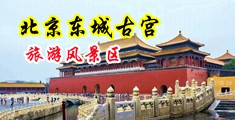 大鸡巴草小逼视频试看中国北京-东城古宫旅游风景区
